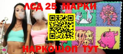 амф Кимры