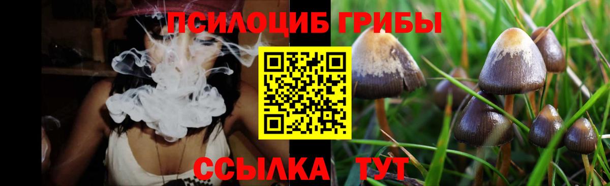 Ипатово  Псилоцибиновые грибы Cubensis  Вход с VPN 